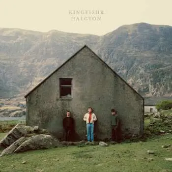 LP Kingfishr: Halcyon