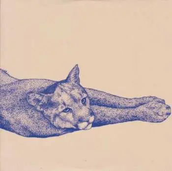 CD Koen Holtkamp: Field Rituals