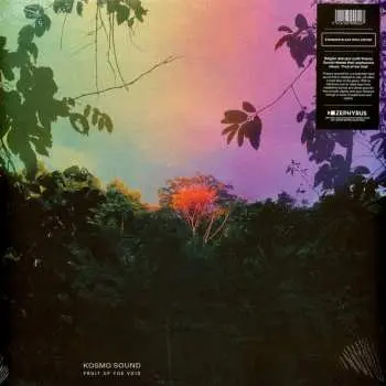 LP Kosmo Sound: Fruit Of The Void