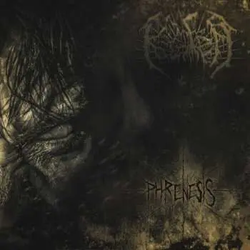 CD Krater: Phrenesis LTD