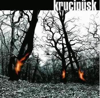 LP Krucipüsk: Druide!