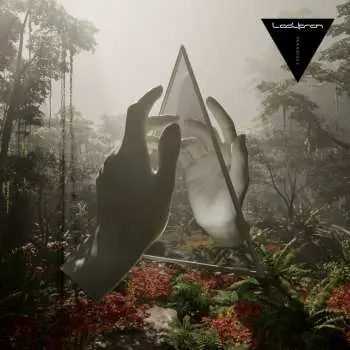 CD Ladytron: Paradises