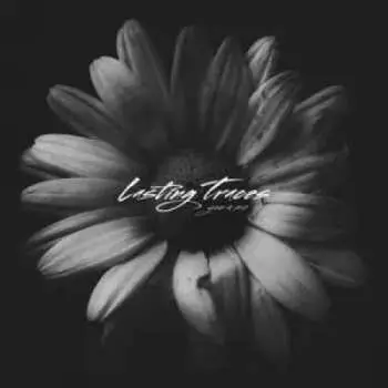 LP Lasting Traces: You + Me