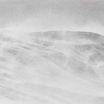 CD Lawrence English: Viento LTD