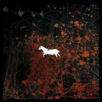 2LP/2CD/DVD/Box Set Les Discrets: Prédateurs LTD | CLR