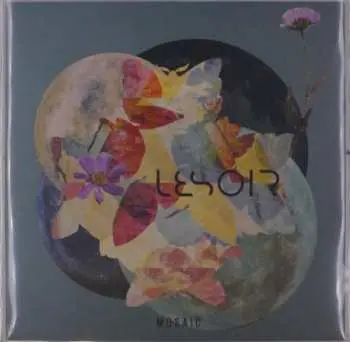 LP Lesoir: Mosaic