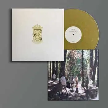 LP Liars: Sisterworld LTD | CLR