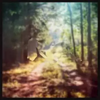 LP/CD Like Elephants: Oneironaut CLR