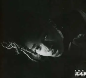 CD Little Simz: Grey Area