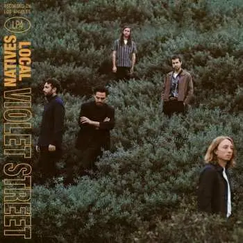 LP Local Natives: Violet Street