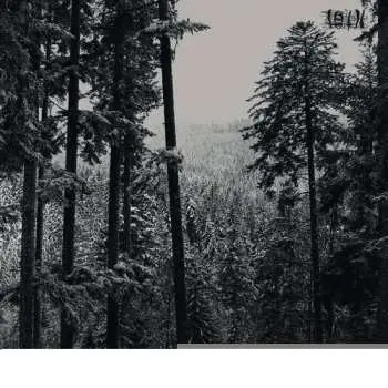 CD Loth: Loth LTD