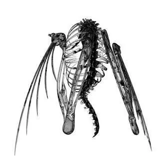 LP Lotic: Heterocetera