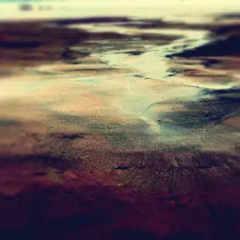 CD Loula Yorke: Hydrology LTD
