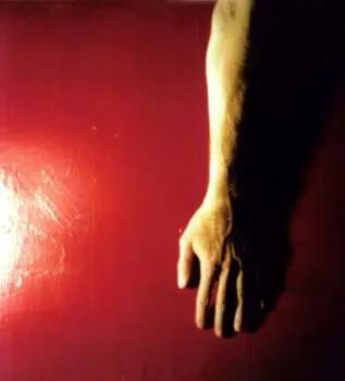 2LP Low: Trust