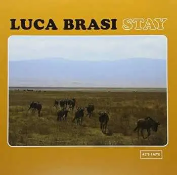 LP Luca Brasi: Stay CLR | LTD