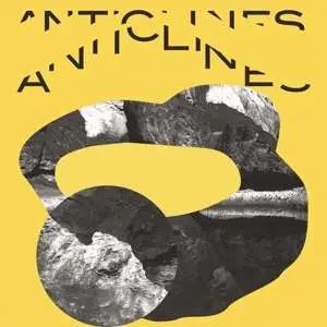 LP Lucrecia Dalt: Anticlines