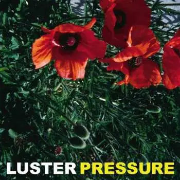 LP Luster: Pressure