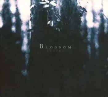 CD Lustre: Blossom