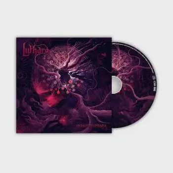CD Lutharö: Chasing Euphoria