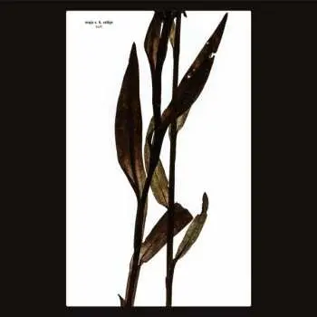LP Maja S. K. Ratkje: Sult LTD | CLR