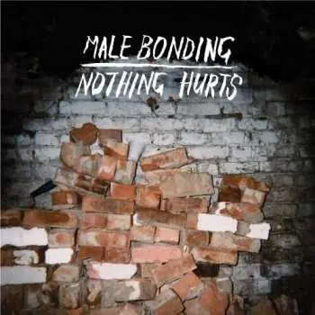 CD Male Bonding: Nothing Hurts