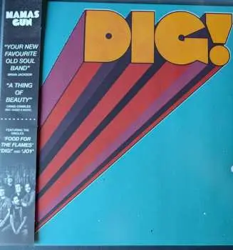 LP Mamas Gun: Dig! CLR