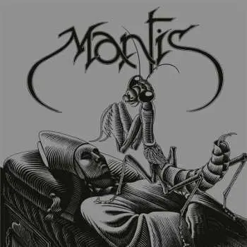 LP Mantis: Mantis