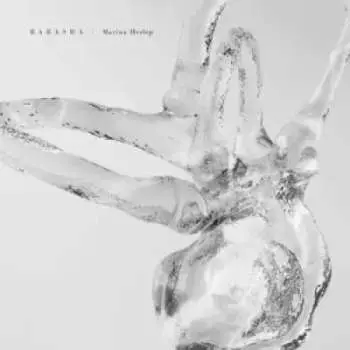 LP Marina Harlop: Babasha