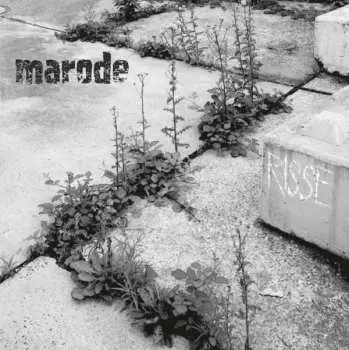LP Marode: Risse LTD