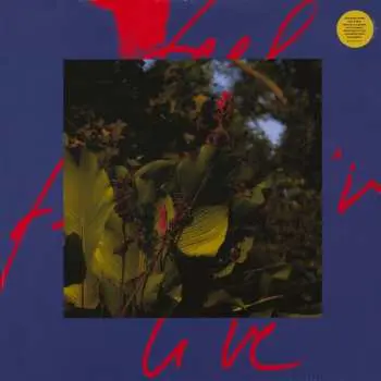 2LP Massimiliano Pagliara: Feel Live