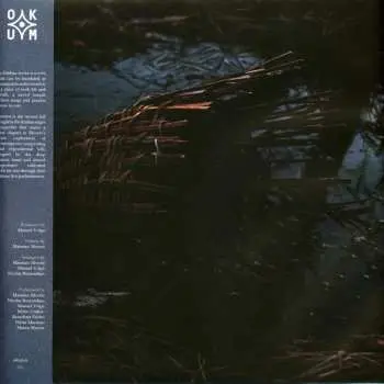 LP Massimo Silverio: Sùrtum