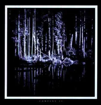 LP Matt Chamberlain: Company 23 CLR | LTD