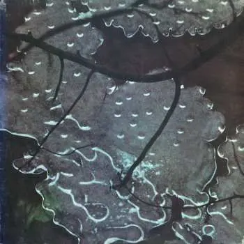 LP Maurizio Bianchi: Armaghedon CLR | LTD