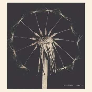 LP Maxine Funke: Home Fi