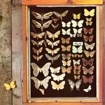 CD Mayfly: Mayfly