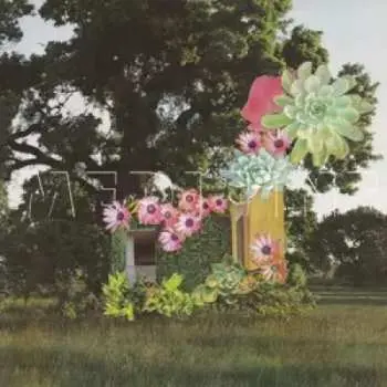 LP Medicine: Home Everywhere