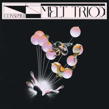 LP MELT Trio: Consumer