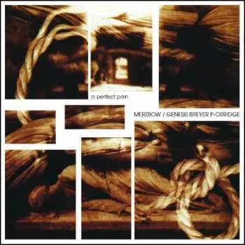CD Merzbow: A Perfect Pain