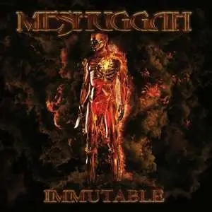 2LP Meshuggah: Immutable CLR | LTD