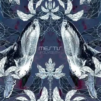 CD Mestis: Polysemy