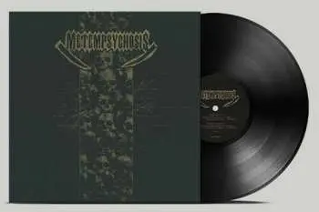 LP Metamorphosis: Metamorphosis Ltd.