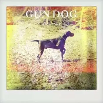LP Micatone: Gun Dog