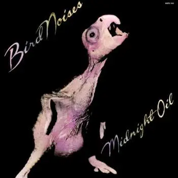 LP Midnight Oil: Bird Noises