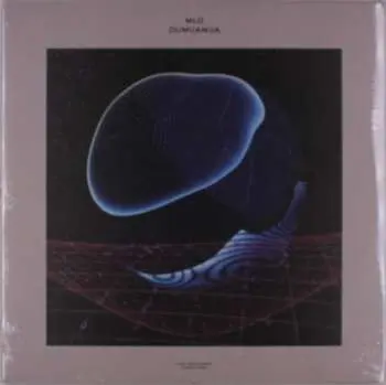 2LP MLO: Oumuamua