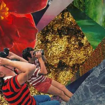 LP mndsgn: NoMaps