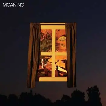 CD Moaning: Moaning