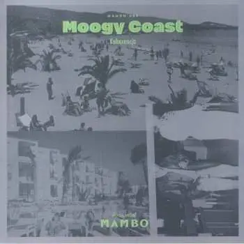 LP Moogy Coast: Koherencja