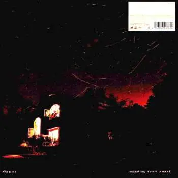 LP Moons: Dreaming Fully Awake