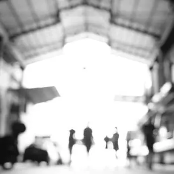 CD Morphose: The Open Shutter