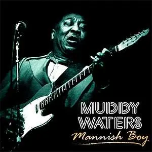 LP Muddy Waters: Mannish Boy